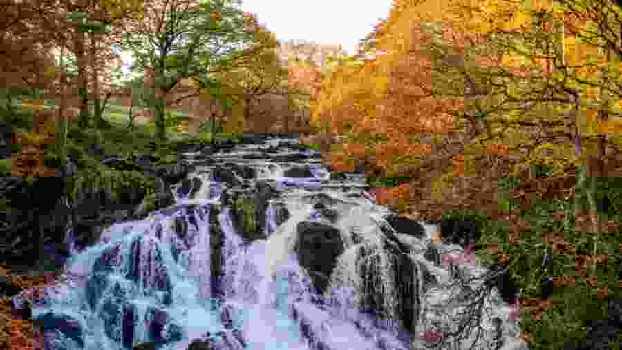 See The Swallow Falls