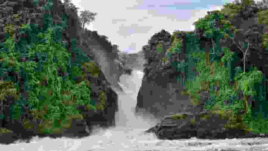 Murchison Falls National Park