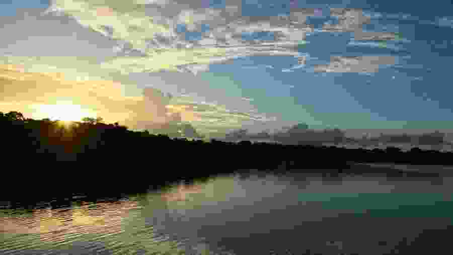 Sunrise at Amazon