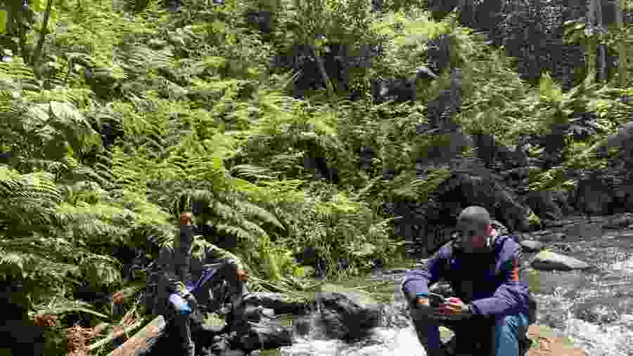 Hike to Mount Meru Waterfall, Arusha