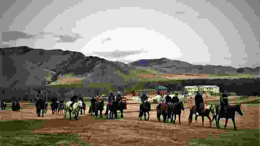 Mongolian Wild Horses in Ulan Bator