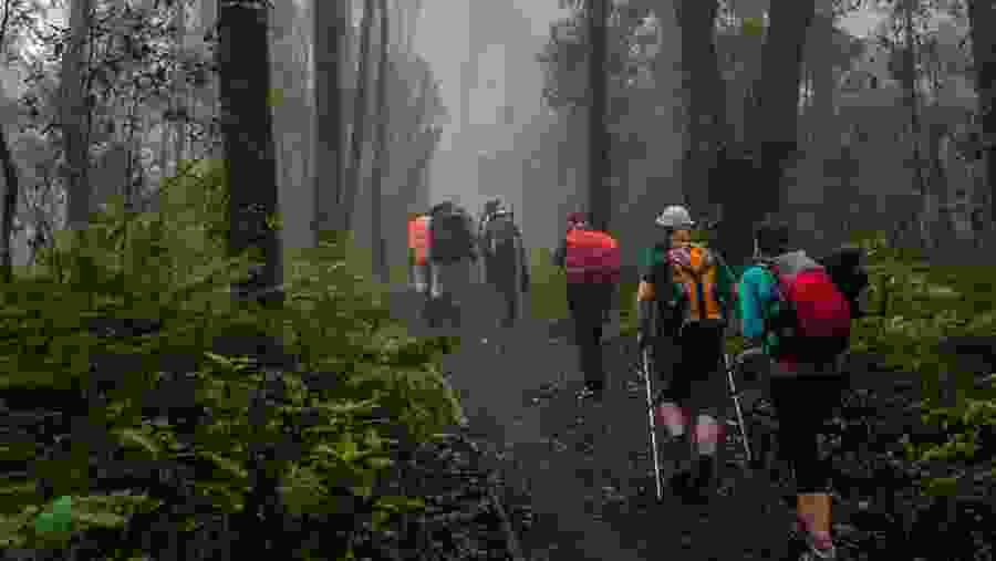 Venture to Mount Kilimanjaro