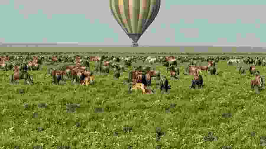 Hot Air Balloon Safari