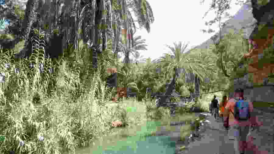 Explore Paradise Valley