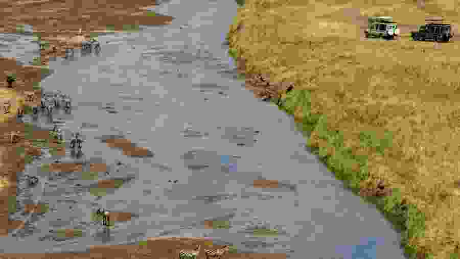 Explore the wildlife at Aberdare National Park