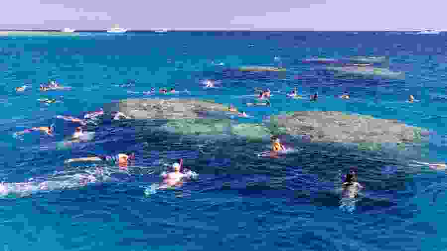 Snorkel and swim in the beautiful blue waters of Egypt