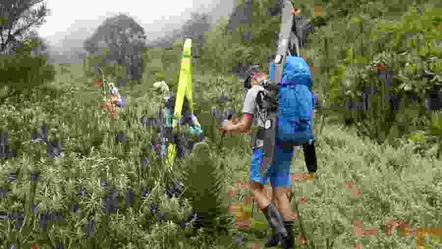 Rwenzori Mountains Hike