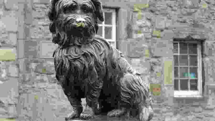 Greyfriars Bobby, Edinburgh