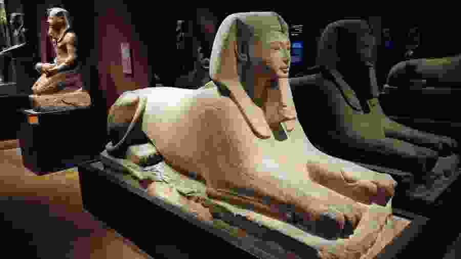 Egyptian Museum In Cairo, Egypt