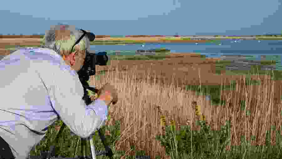 Bird-watching in Oman