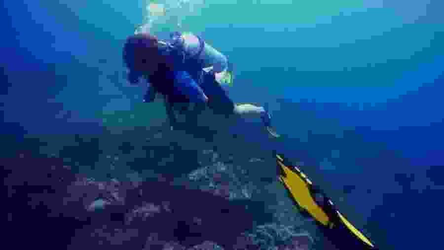 Scuba Diving in Negombo