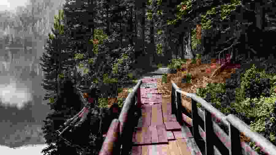 Walk around Black Lake