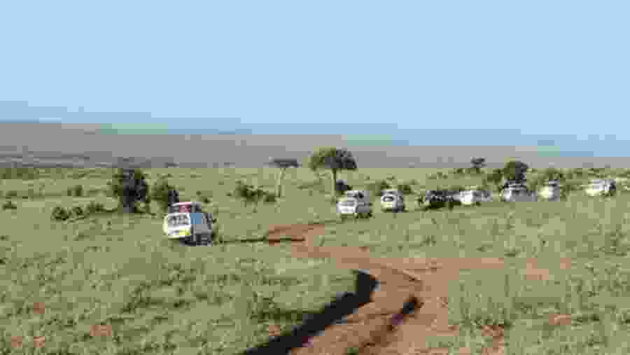 Small Group Adventure Safaris,Active Travel,Epic Active AdventuresYHA Kenya TravelEpic Tours SafarisWildlife SafarisSafari BookingsMasai Mara Kenya SafariActive Holidays in KenyaAfrican Safari,The Big Five Animals.