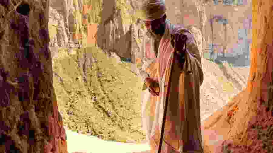 Camping, Historical &trekking tour