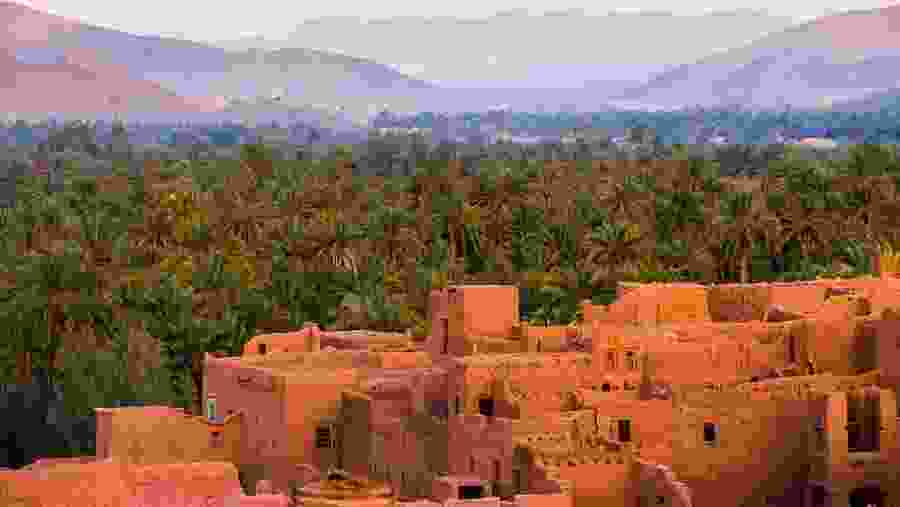 Oasis in Draa Valley