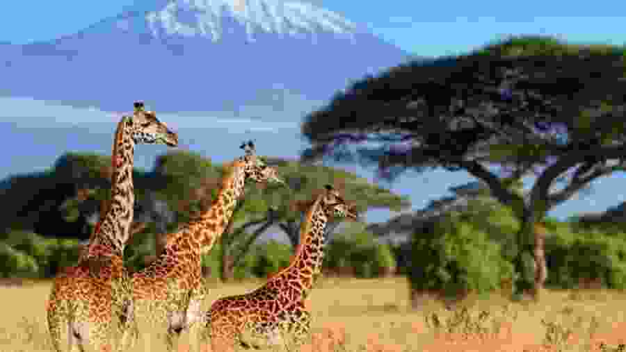 Arusha National Park