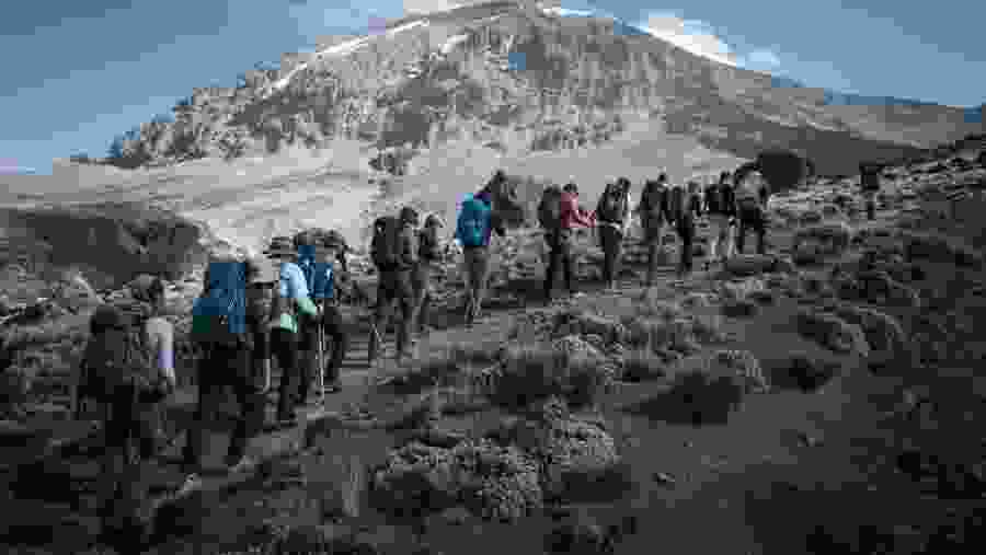Kilimanjaro Climb Machame Route
