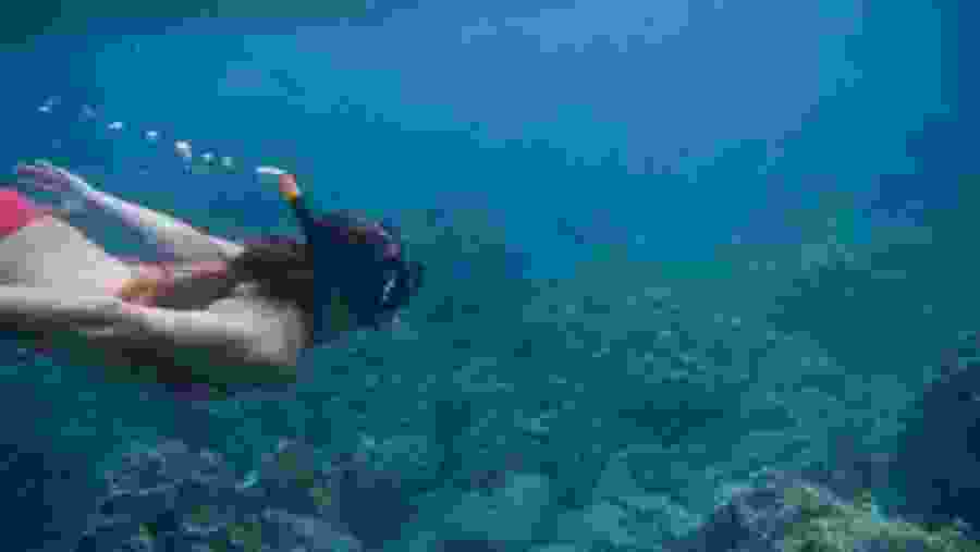 Snorkeling