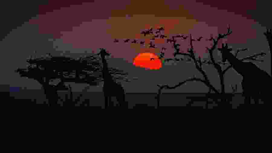 Evening view, Amboseli National Park