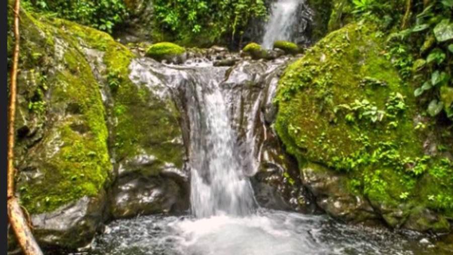 Waterfall Sanctuary