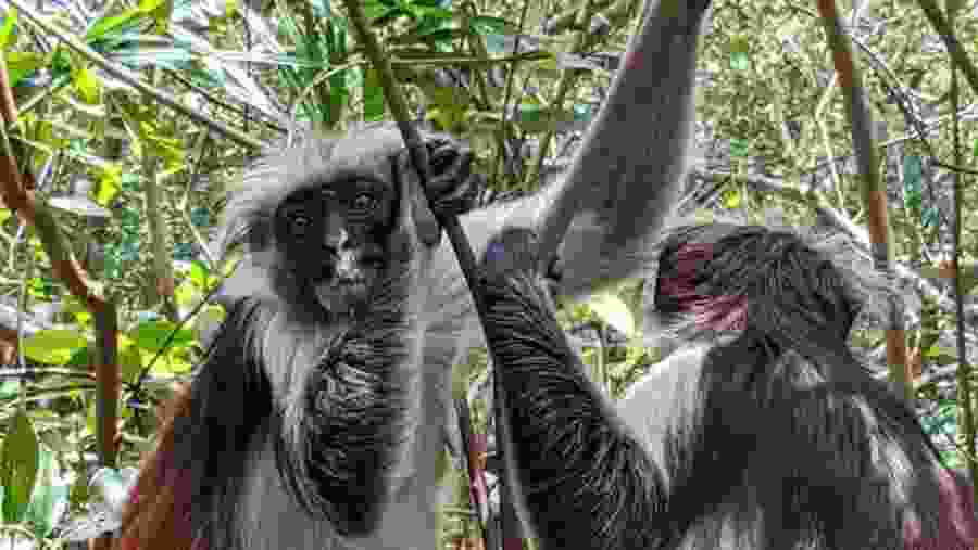 Experience up close animal experiences