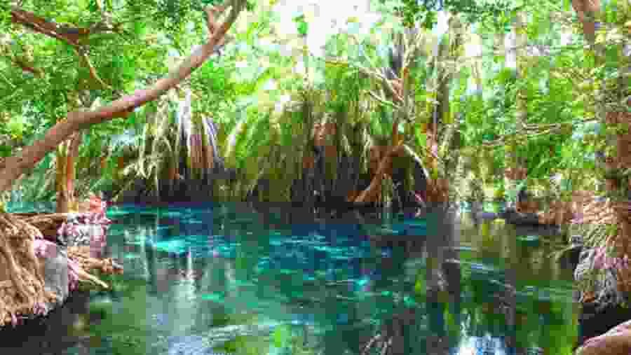 At Kikuletwa Hot spring