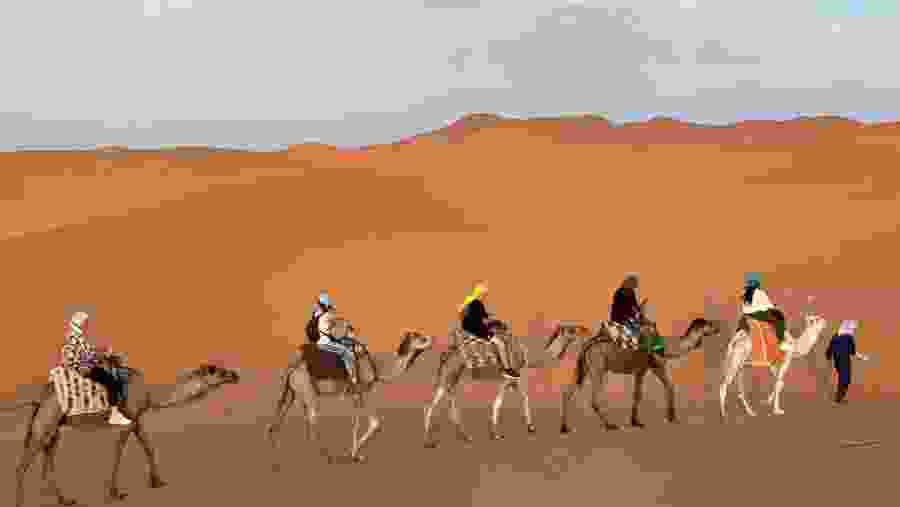 Balade à dos des dromadaires dans le désert 