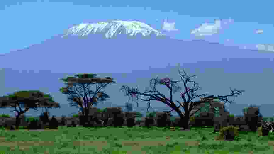 View of Mount Kilimanjaro from Amboseli