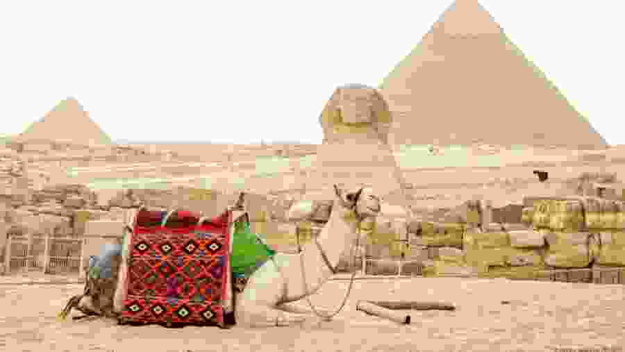 Giza Pyramid Complex