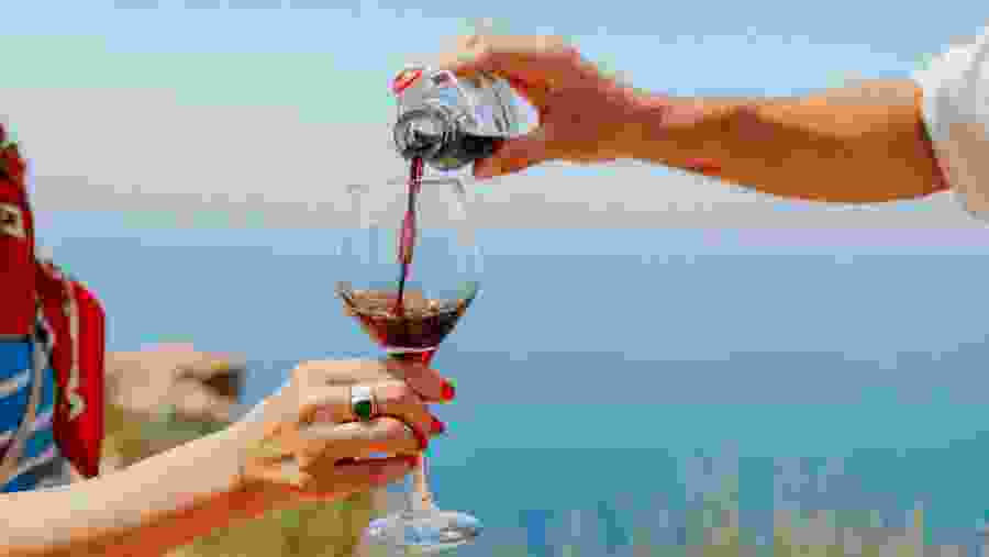 discover the richness of Provence