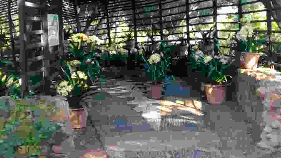 Organic Gardens near Franschhoek