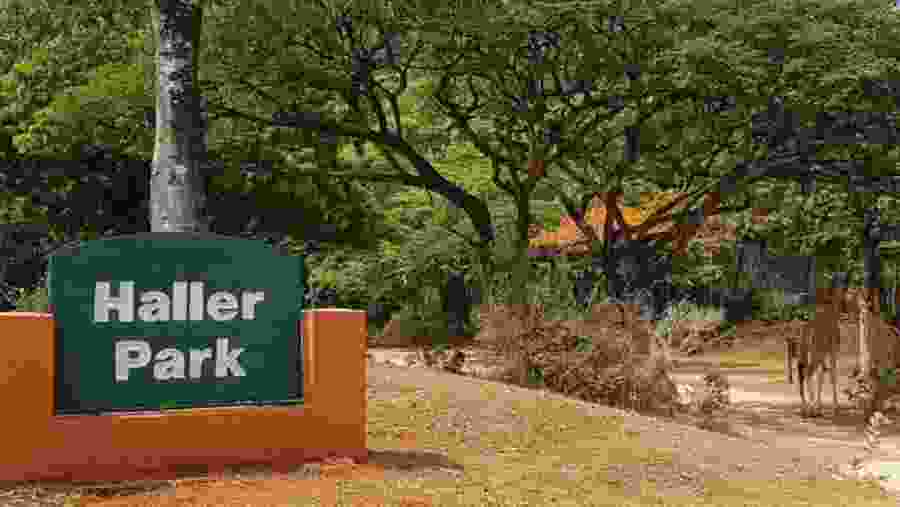 Haller’s Nature Park