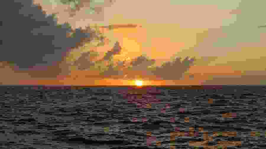 sunset