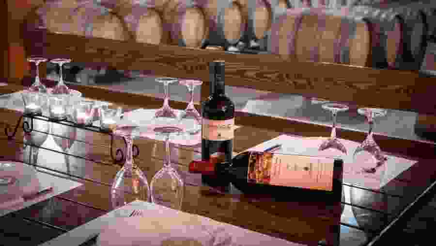 Wine Experience of Crete