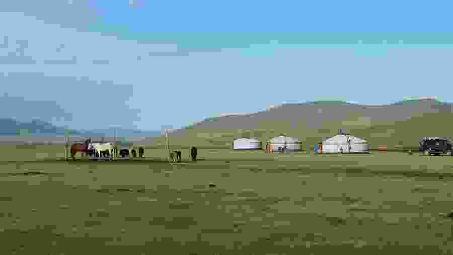 Ger camps in Mongolia