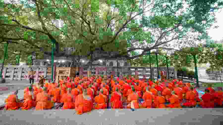 Group of Buddhist monks pray to take a refuge for the lord Buddha at bodhi tree,the place of enlightenment