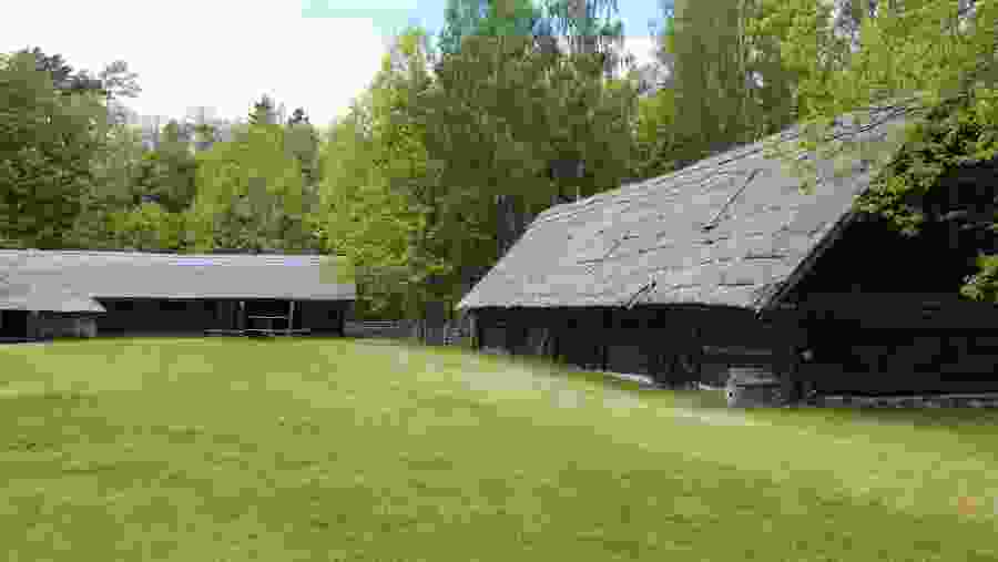 Lithuanian lifestyle