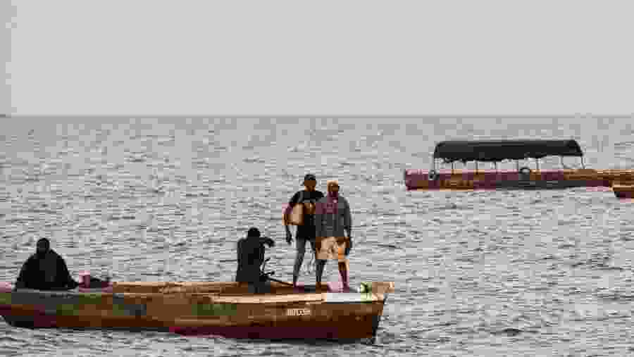 Unwind and relax at scenic Paradise beaches