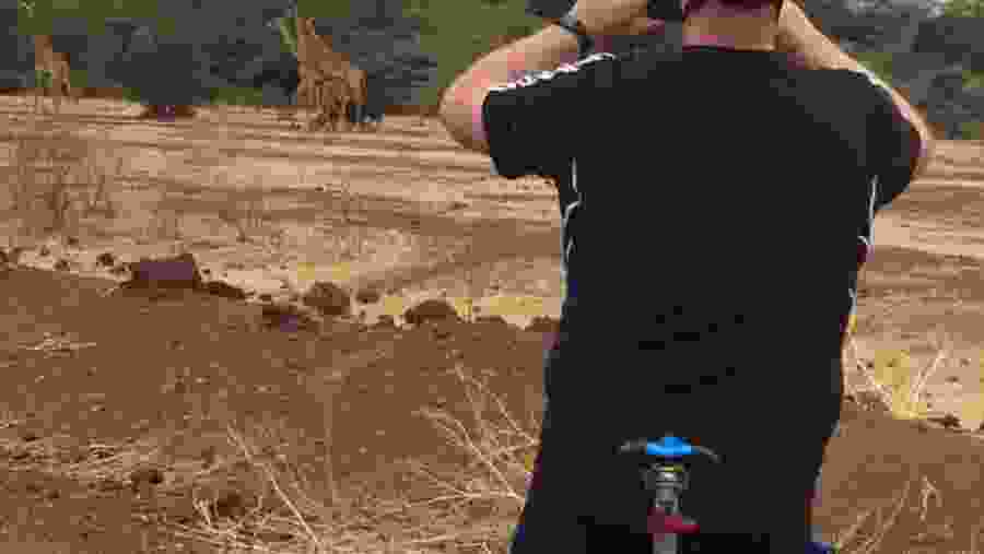 Travellers observing wildlife