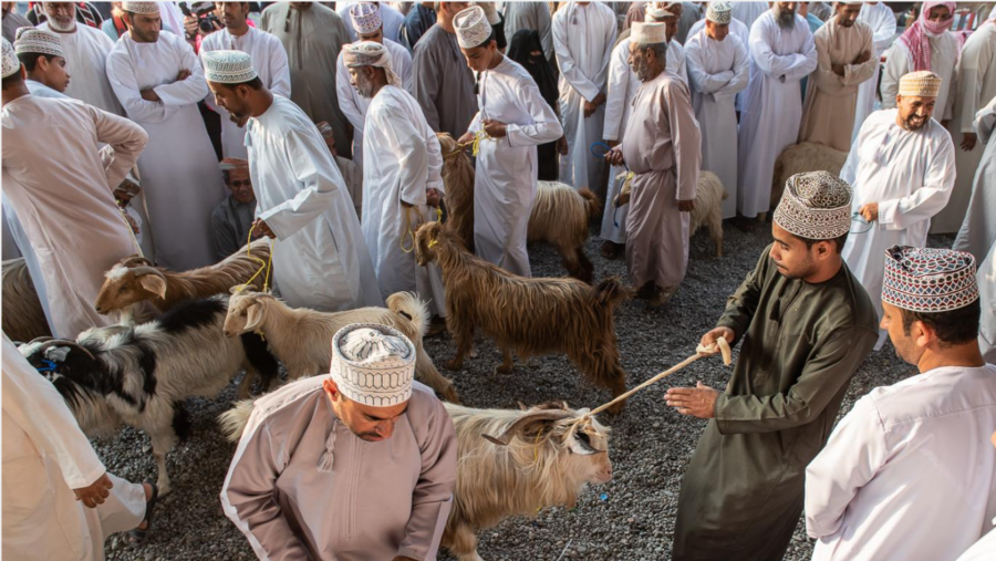 Nizwa Tour
