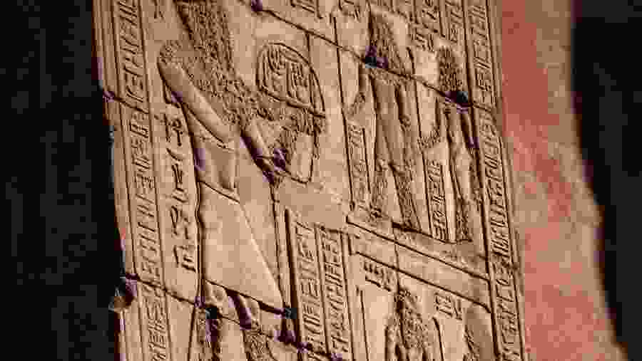hieroglyphs covering walls