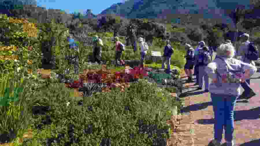 Strolling in the garden