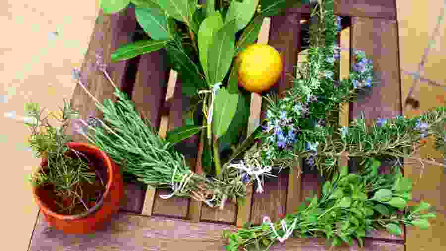 Hierbas Liquor Herbs
