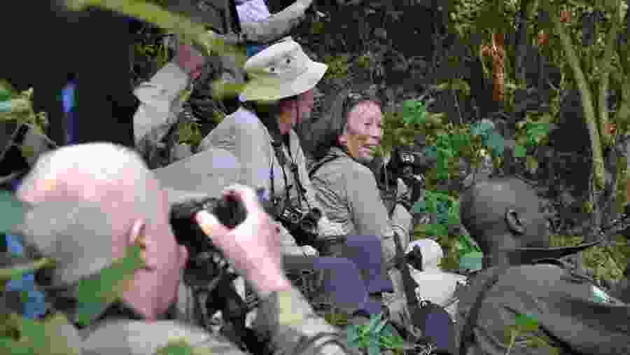 Gorilla Tracking in  Bwindi Impenetrable National Park