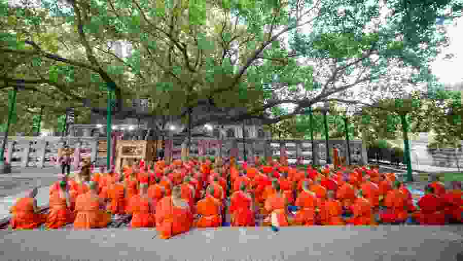 Buddhist Monks Pray in Buddha at Bodhi Tree
