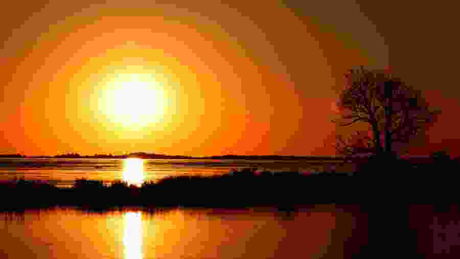 Amazon River