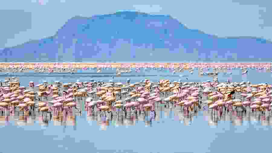 Lake Manyara National Park