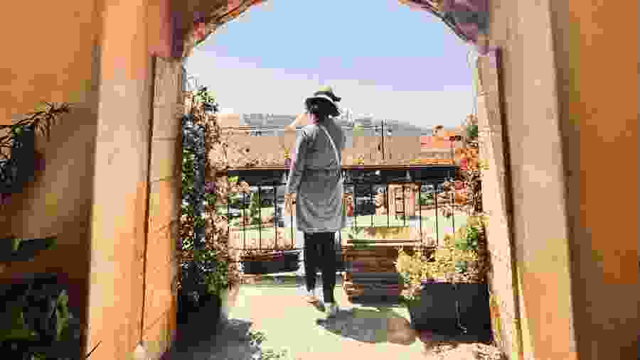 Cedars of Chouf, Beiteddine & Deir El Qamar