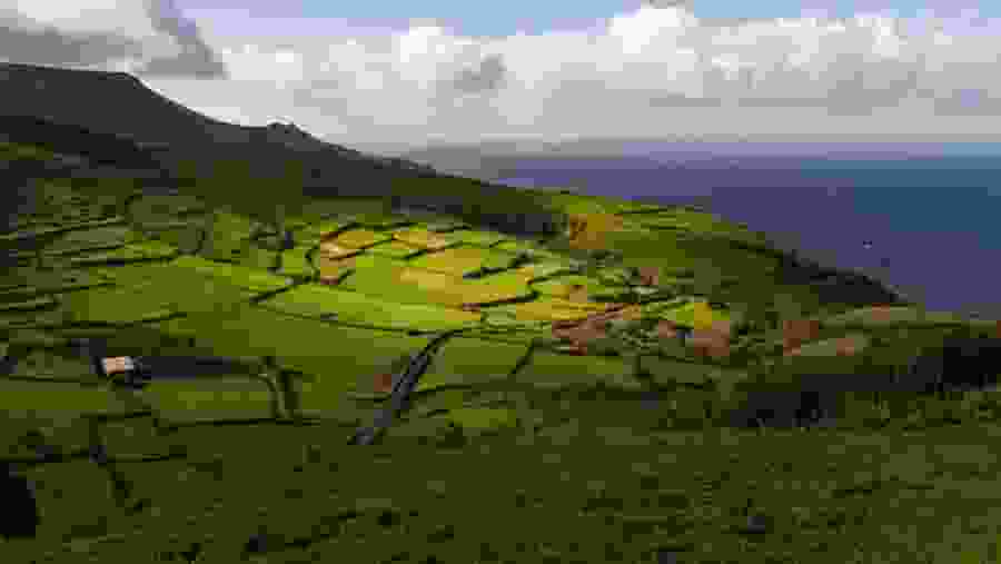 Hike up to the Pico Island