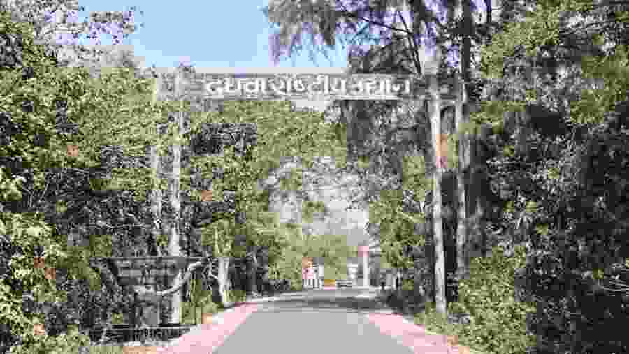 Dudhwa National Park